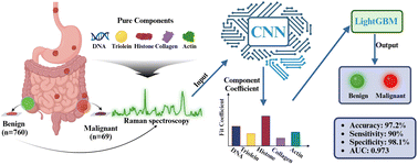 Graphical abstract: An intelligent diagnostic algorithm for Raman spectroscopy of gastrointestinal cancer based on component modeling