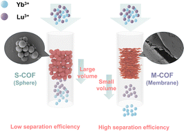 Graphical abstract: A multi-stage COF membrane column system for enhanced Yb/Lu separation