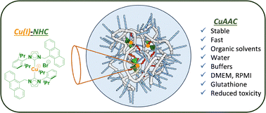 Graphical abstract: Enhancing the CuAAC efficiency of a Cu(i)–NHC complex in biological media by encapsulation