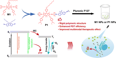 Graphical abstract: An organoplatinum-bridged conjugated polymeric photosensitizer with a donor–acceptor structure for enhanced photodynamic efficiency and integrated tumour therapy