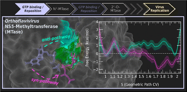 Graphical abstract: Reposition pathways of GTP in orthoflavivirus NS5-methyltransferase revealed by enhanced molecular dynamics simulations