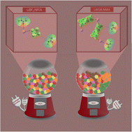 Graphical abstract: Molecular-level heterogeneity in deep eutectic electrolytes