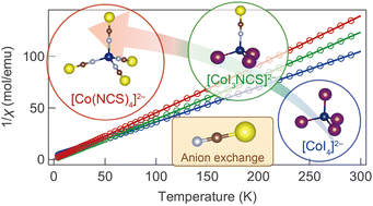 Graphical abstract: Effects of the anion exchange between I− and NCS− coordinated to Co2+-centered tetrahedra in the organic–inorganic hybrid halides