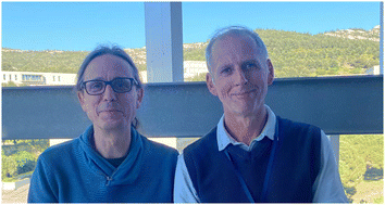 Graphical abstract: Third themed collection on Nitrogen Ligands