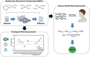 Graphical abstract: Quaternary ammonium compounds in wastewater during the COVID-19 pandemic: occurrence, exposure evaluation and risk assessment