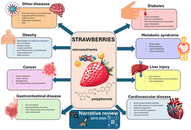 Graphical abstract: Strawberry as a health promoter: an evidence-based review. Where are we 10 years later?