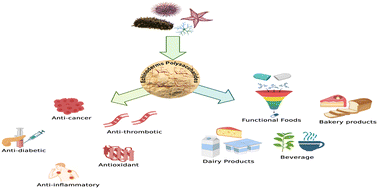 Graphical abstract: Polysaccharides from echinoderms: unlocking health benefits and food applications – a review