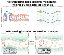 Graphical abstract: Solvated ion transport in hierarchical tremella-like ionic membranes for low-power and high-sensitivity ethanol sensing