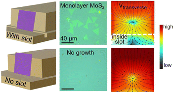 Graphical abstract: Critical role of precursor flux in modulating nucleation density in 2D material synthesis revealed by a digital twin