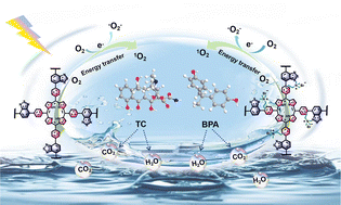 Graphical abstract: Construction of porphyrin-based conjugated microporous polymer through quaternization for efficient photodegradation of tetracycline and bisphenol A