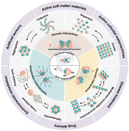 Graphical abstract: Chemically active colloidal superstructures