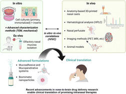 Graphical abstract: Overcoming barriers: nanomedicine-based strategies for nose-to-brain delivery