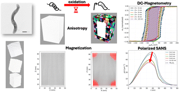 Graphical abstract: Micromagnetic structure of oxidized magnetite nanoparticles: sharp structural versus diffuse magnetic interface