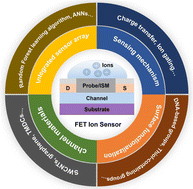 Graphical abstract: Field-effect transistor based sensors for heavy metal ion detection in water systems