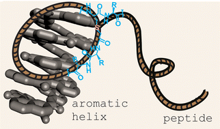 Graphical abstract: Display selection of peptide ligands for helical aromatic foldamers