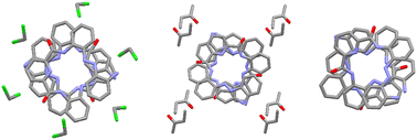 Graphical abstract: Solvatomorphism of a 2,6-pyridyldicarboxamide-based foldamer
