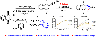 Graphical abstract: Synthesis and biological evaluation of naphthoquinone-fused pyrrole and imidazopyridinedione heterocycles