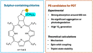 Graphical abstract: Sulphur-containing pyrrolidine-fused chlorins as potential candidates for photodynamic therapy: experimental and theoretical photophysical evaluation