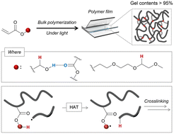 Graphical abstract: Crosslinking of polymers from monofunctional acrylates via C–H bond activation