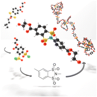 Graphical abstract: Molecular insight into a disulfonimide-bearing diol: synthesis, characterisation and access to poly(disulfonimide)s