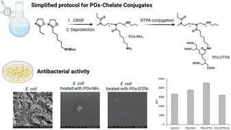 Graphical abstract: A novel approach to POx–chelate conjugates and a comparison of their antibacterial activity with POx systems containing amino groups