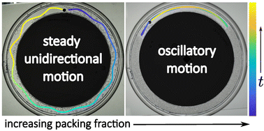 Graphical abstract: A Marangoni swimmer pushing a particle raft under 1D confinement