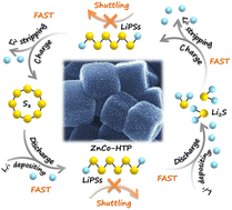 Graphical abstract: Bimetallic organic framework nanocages enhance polysulfide trapping and redox kinetics in lithium–sulfur batteries