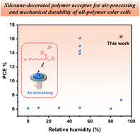 Graphical abstract: Siloxane-decorated polymer acceptors enable humidity-tolerant air-processing and mechanical durability of all-polymer solar cells