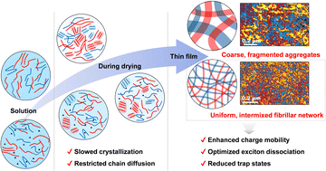 Graphical abstract: Unraveling the role of crystallization kinetics for fibrillar morphology optimization in all-polymer solar cells