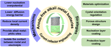 Graphical abstract: Current collector engineering for advanced anode-free alkali metal batteries with liquid electrolyte