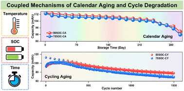 Graphical abstract: Coupled influence of state-of-charge and storage temperature on calendar aging and subsequent cycle degradation in LiFePO4/graphite pouch cells