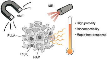 Graphical abstract: Triggered by light and magnetism: smart foam PLLA/HAP/Fe3O4 scaffolds for heat-controlled biomedical applications