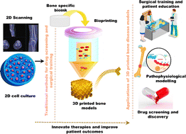 Graphical abstract: Recent advances in 3D printed bone disease models for pathophysiological modeling, drug discovery, and patient education