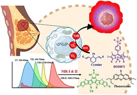 Graphical abstract: A comprehensive review on recent developments in near-infrared organic fluorophores for breast cancer: from molecular design to diagnostic applications
