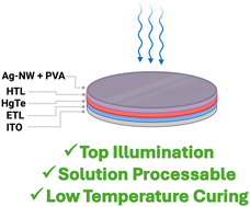 Graphical abstract: Plenty of room at the top: exploiting nanowire – polymer synergies in transparent electrodes for infrared imagers
