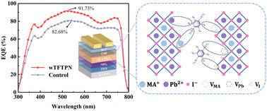 Graphical abstract: Passivation of defects by tetrafluoroterephthalonitrile introduced into MAPbI3 for high-performance perovskite photodetectors