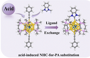 Graphical abstract: Computational exploration of N-heterocyclic carbene (NHC)-for-phenylacetylene ligand exchange in IrAu12 alloy clusters