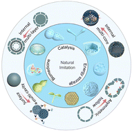 Graphical abstract: Bioinspired multi-compartment mesoporous nanoreactors: modular assembly and functional applications