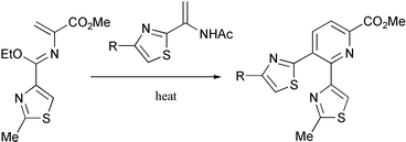 Graphical abstract: Biosynthesis inspired Diels–Alder route to pyridines: synthesis of the 2,3-dithiazolylpyridine core of the thiopeptide antibiotics