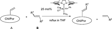 Graphical abstract: Cross-metathesis reactions of vinyl-chlorins and -porphyrins catalyzed by a “second generation” Grubbs' catalyst