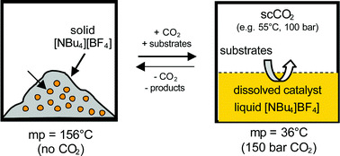 Graphical abstract: Expanding the useful range of ionic liquids: melting point depression of organic salts with carbon dioxide for biphasic catalytic reactions