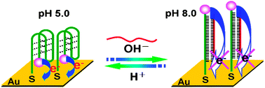 Graphical abstract: Photoelectric conversion switch based on quantum dots with i-motifDNA scaffolds