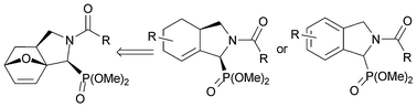 Graphical abstract: Experimental and computational study of the ring opening of tricyclic oxanorbornenes to polyhydro isoindole phosphonates