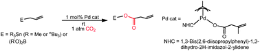 Graphical abstract: Palladium catalyzed carboxylation of allylstannanes and boranes using CO2