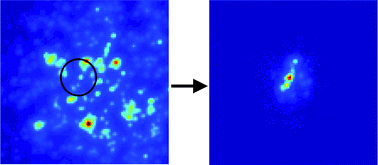Graphical abstract: All-optical fluorescence image recovery using modulated stimulated emission depletion