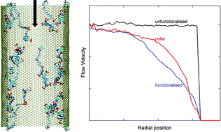 Graphical abstract: Anomalous decline of water transport in covalently modified carbon nanotube membranes