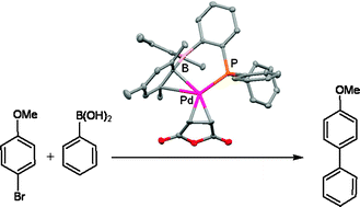 Graphical abstract: A new insight into ortho-(dimesitylboryl)diphenylphosphines: applications in Pd-catalyzed Suzuki–Miyaura couplings and evidence for secondary π-interaction