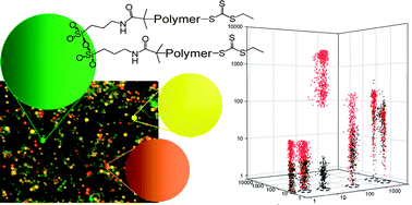 Graphical abstract: Development of encoded particle-polymer arrays for the accelerated screening of antifouling layers