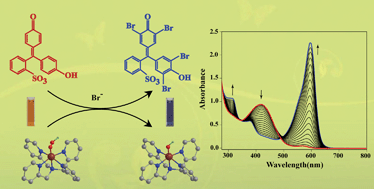 Graphical abstract: Nonheme ferric hydroperoxo intermediates are efficient oxidants of bromide oxidation