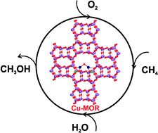 Graphical abstract: Catalytic conversion of methane to methanol over Cu–mordenite